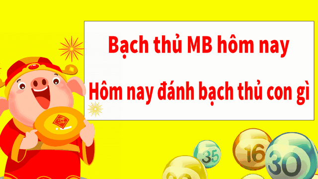 Cách dự đoán kết quả bạch thủ cực chuẩn
